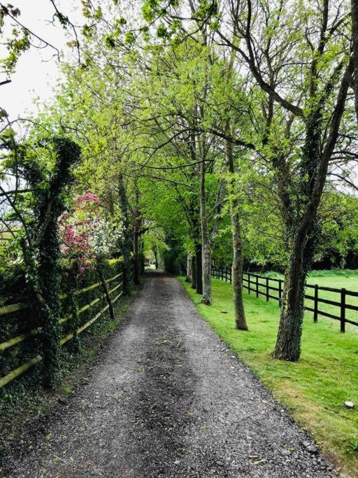 Northdown Lodge - Stunning Property On The Kent Northdowns Hollingbourne Extérieur photo